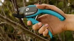 Tuinieren zonder zorgen: hoe kies je de juiste snoeischaar voor de tuin?